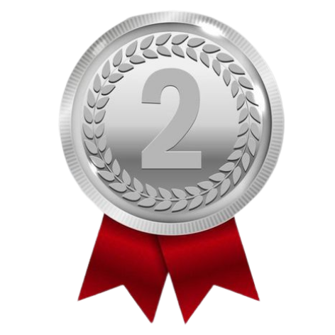 Silver Medal